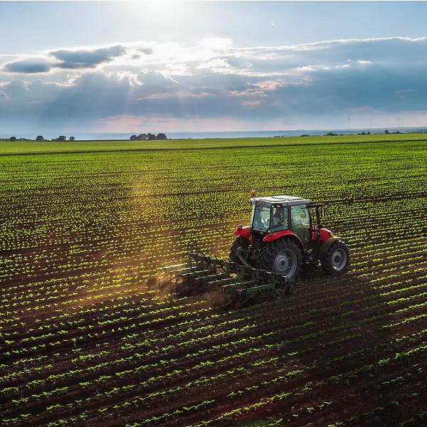 How AI is transforming the future of farming